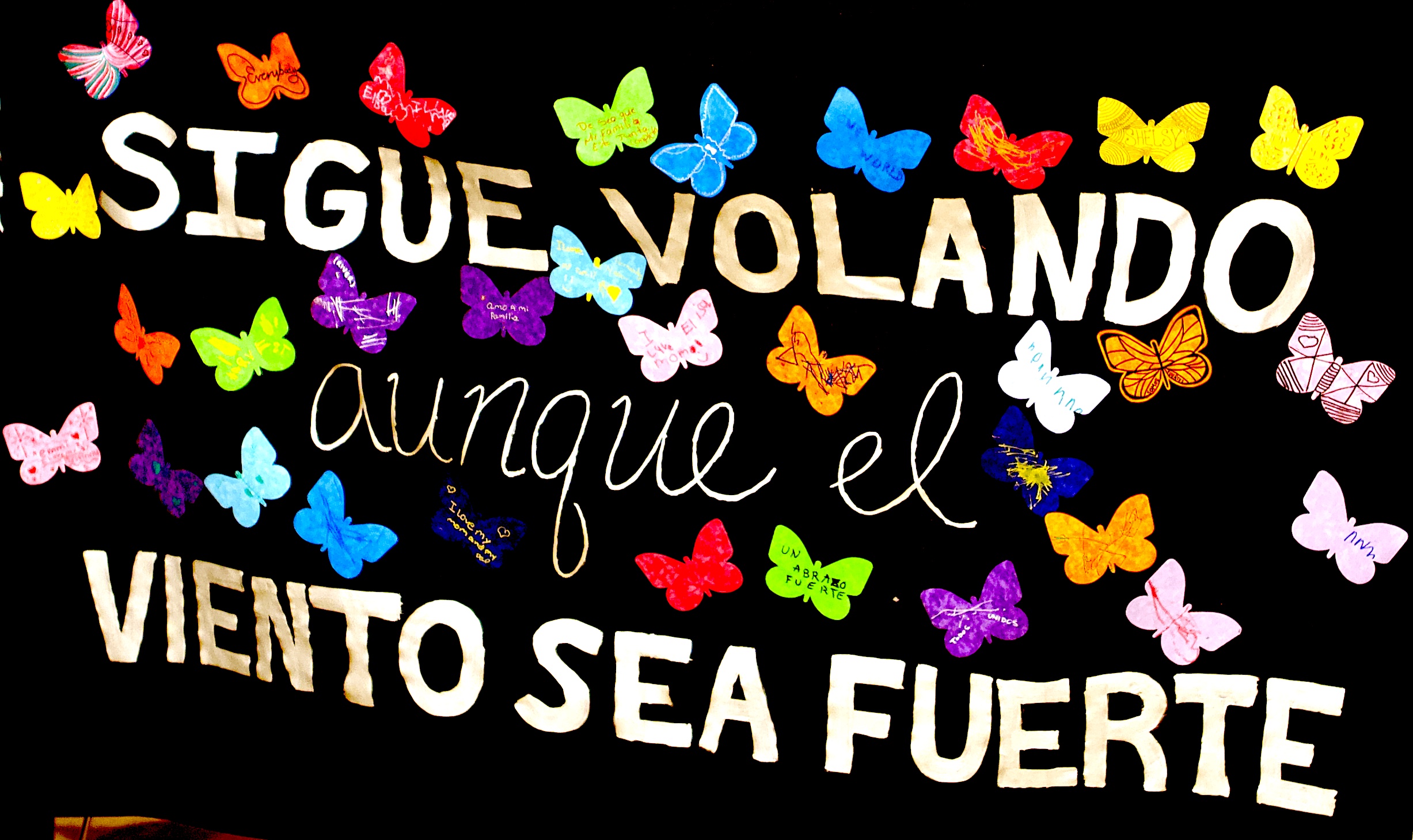 Image of lots of butterflies of different colors. Text reads "Sigue volando aunque el viento sea fuerte."